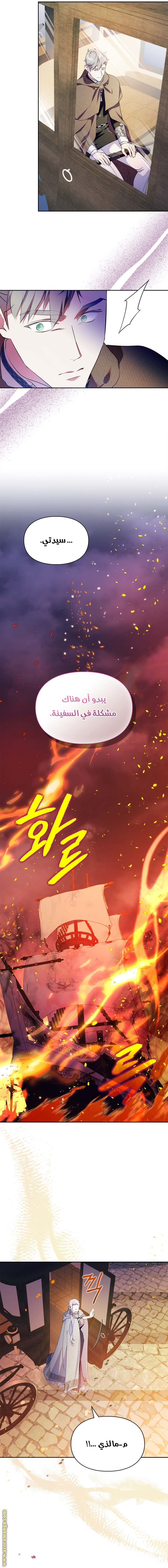 الصفحة 21