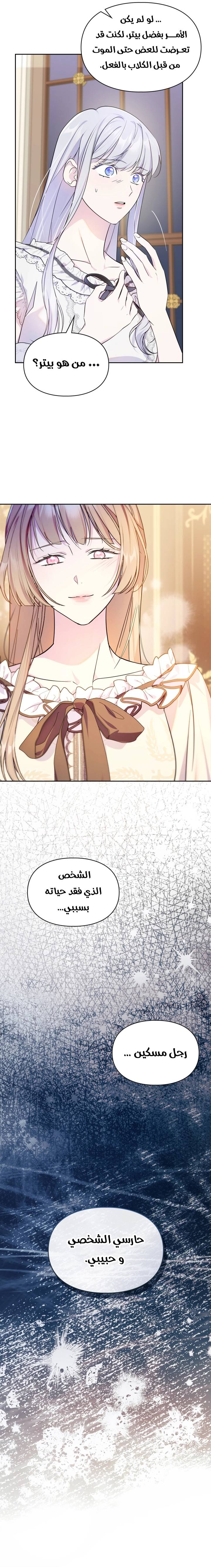 الصفحة 19