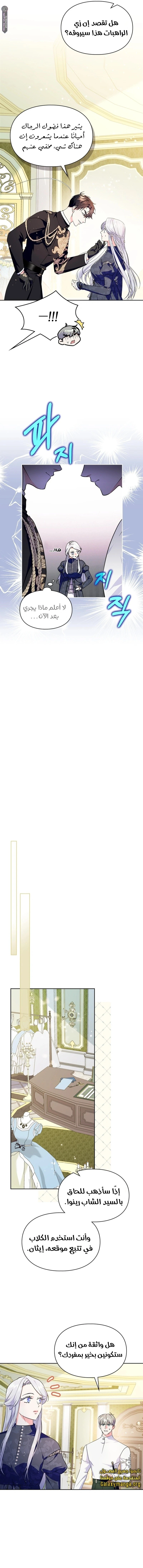الصفحة 13