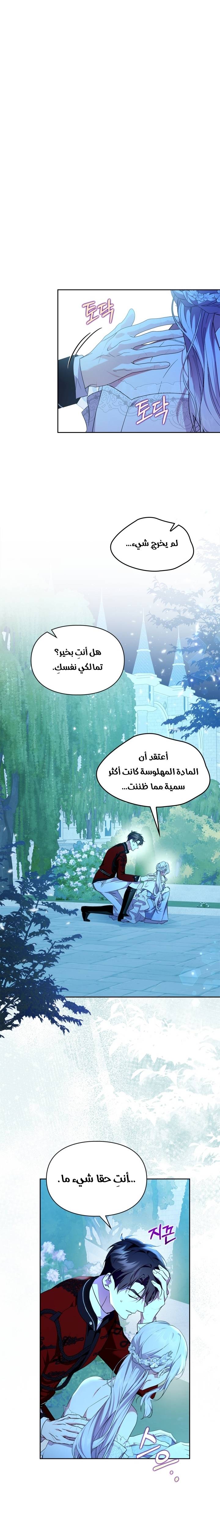 الصفحة 17