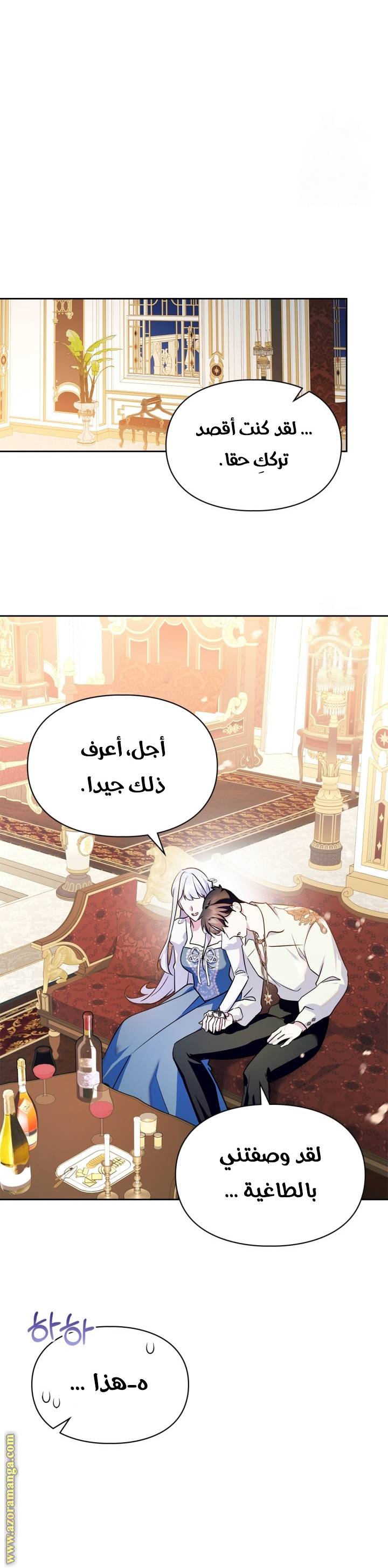 الصفحة 20