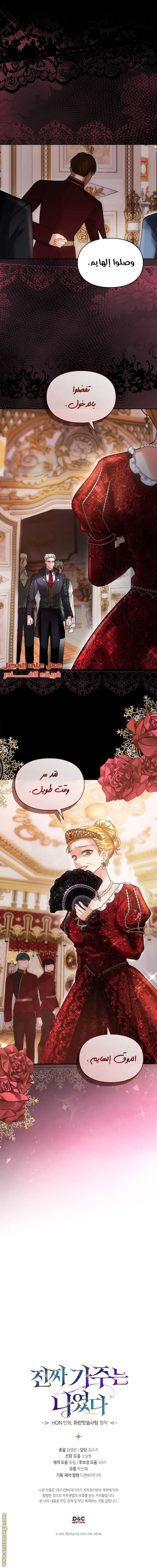 الصفحة 11