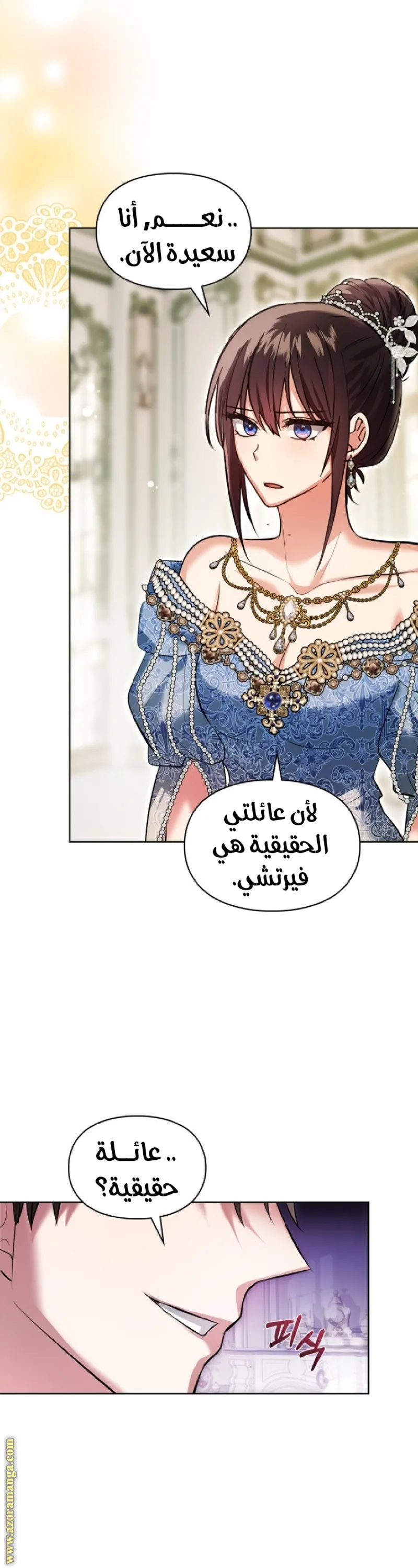 الصفحة 17