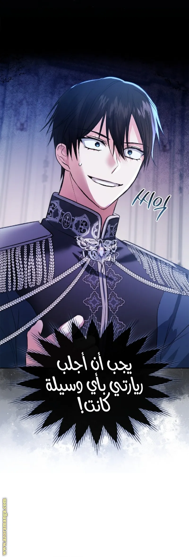 الصفحة 25