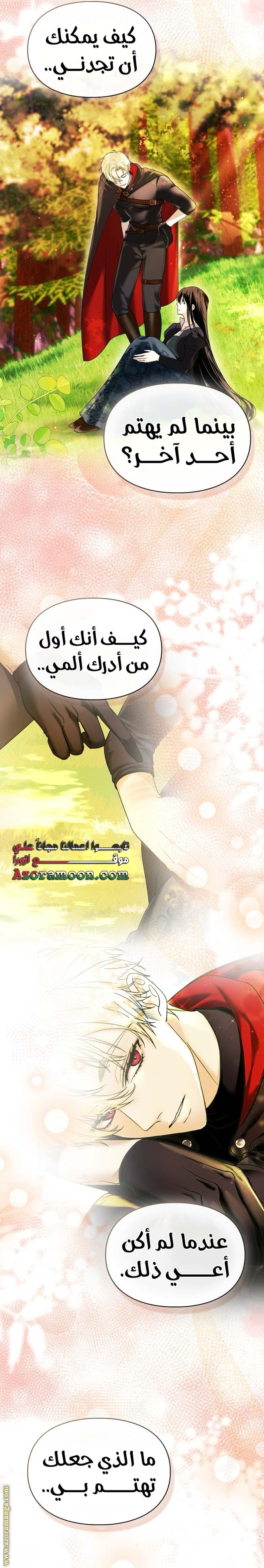 الصفحة 17