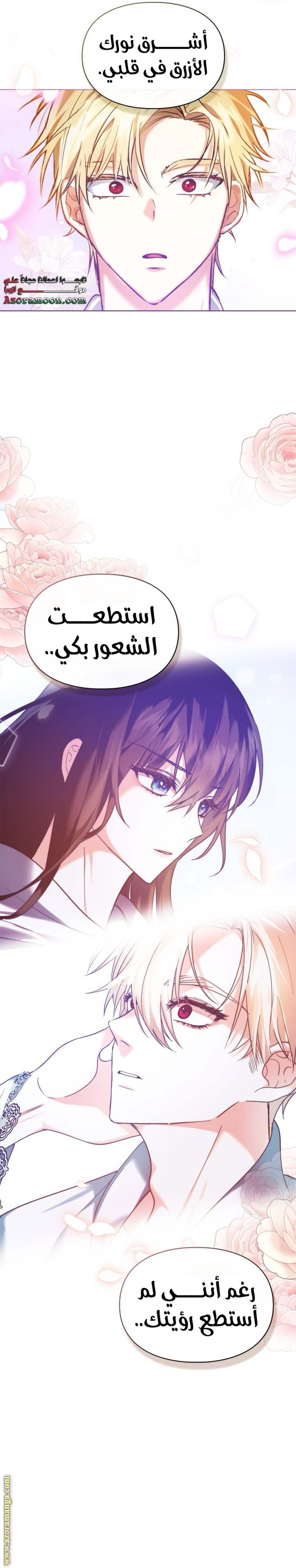 الصفحة 24