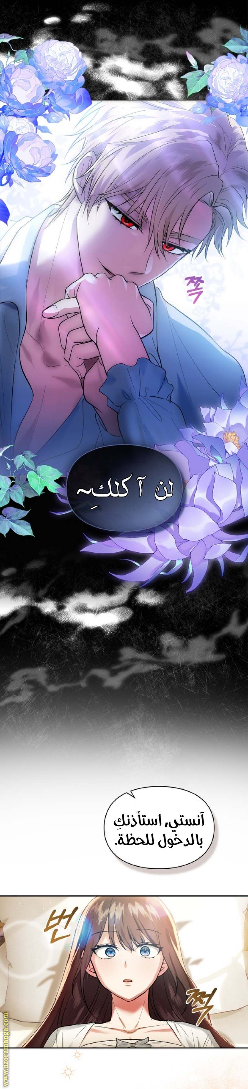الصفحة 11