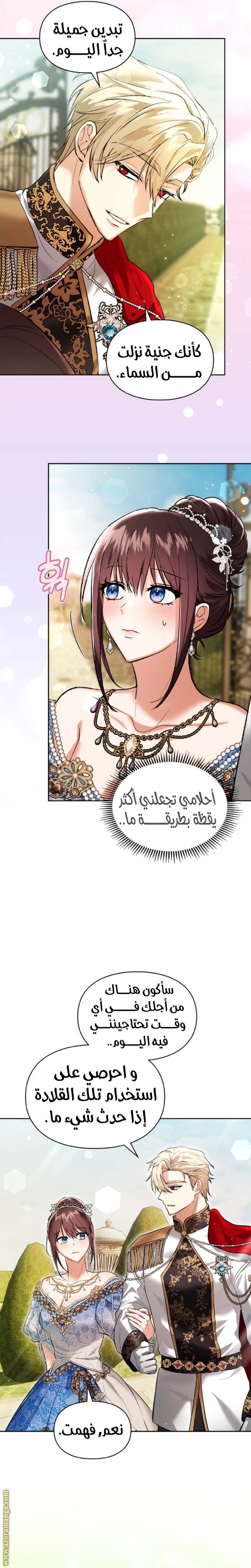الصفحة 17