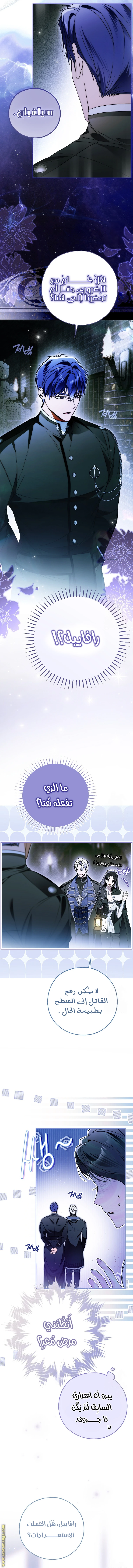 الصفحة 17