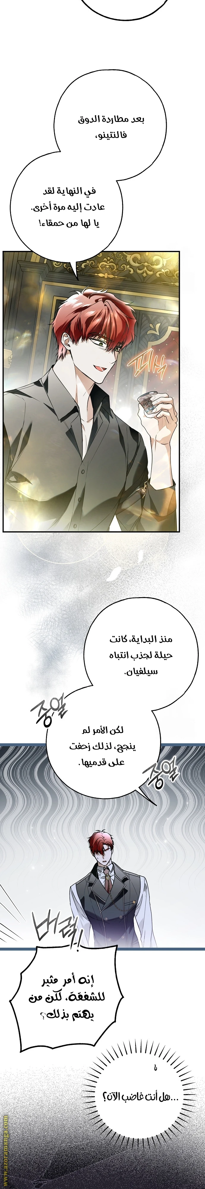 الصفحة 15