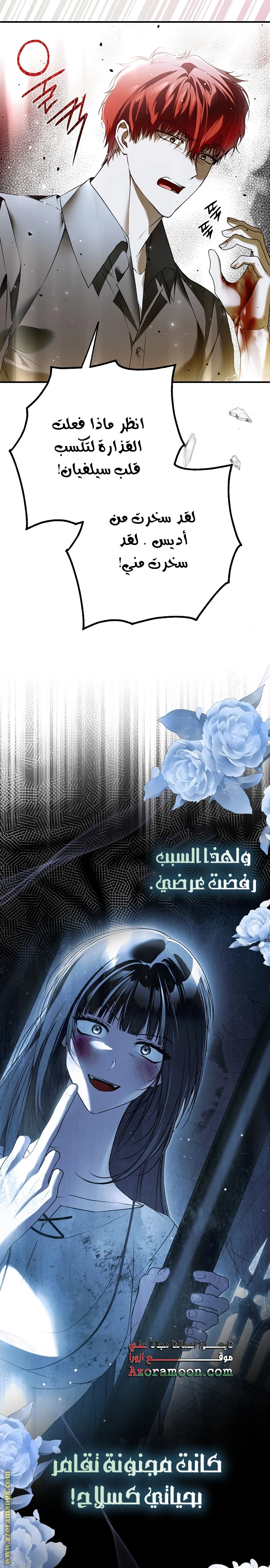 الصفحة 17