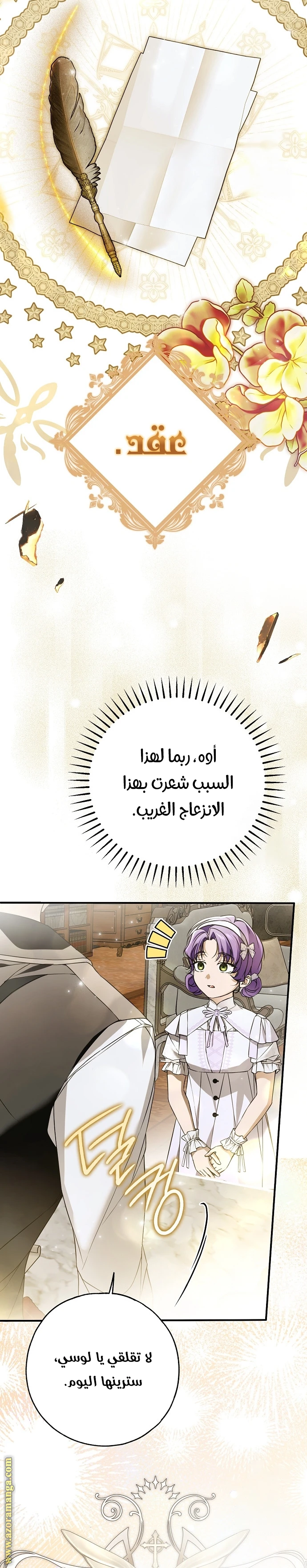 الصفحة 27