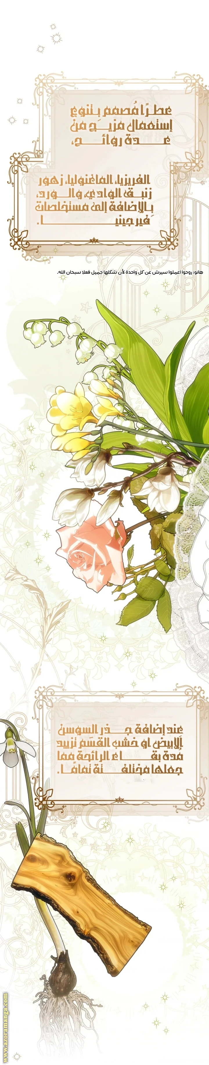 الصفحة 29
