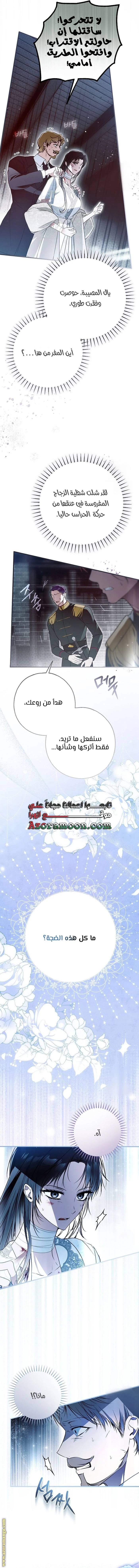 الصفحة 11
