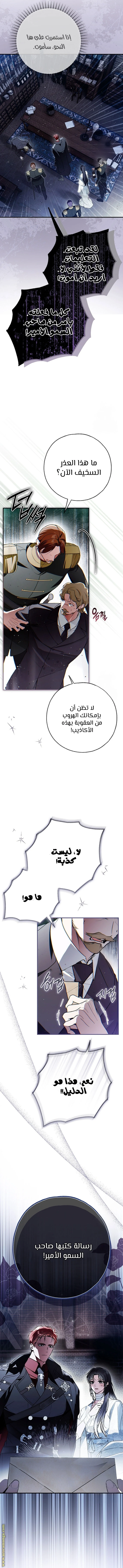 الصفحة 14