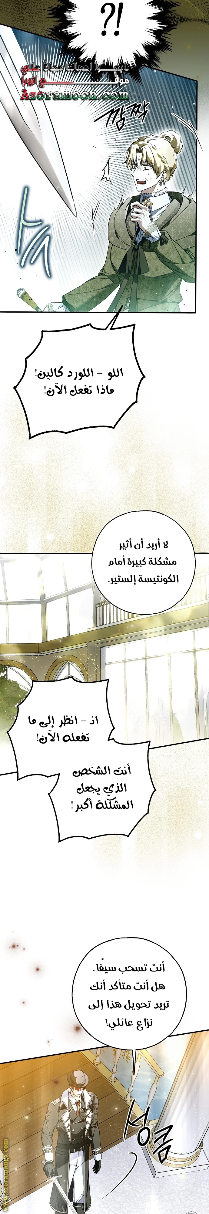 الصفحة 17