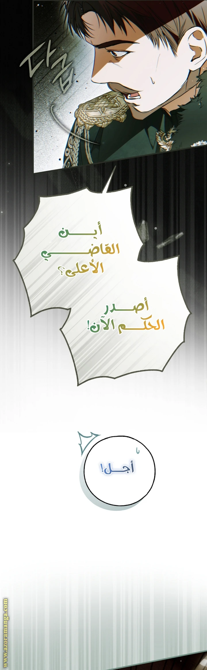 الصفحة 17