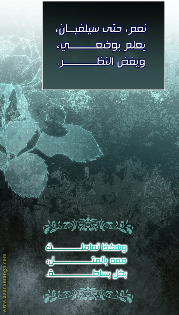 الصفحة 29