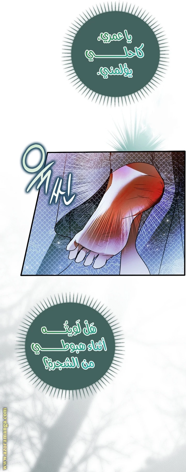 الصفحة 12