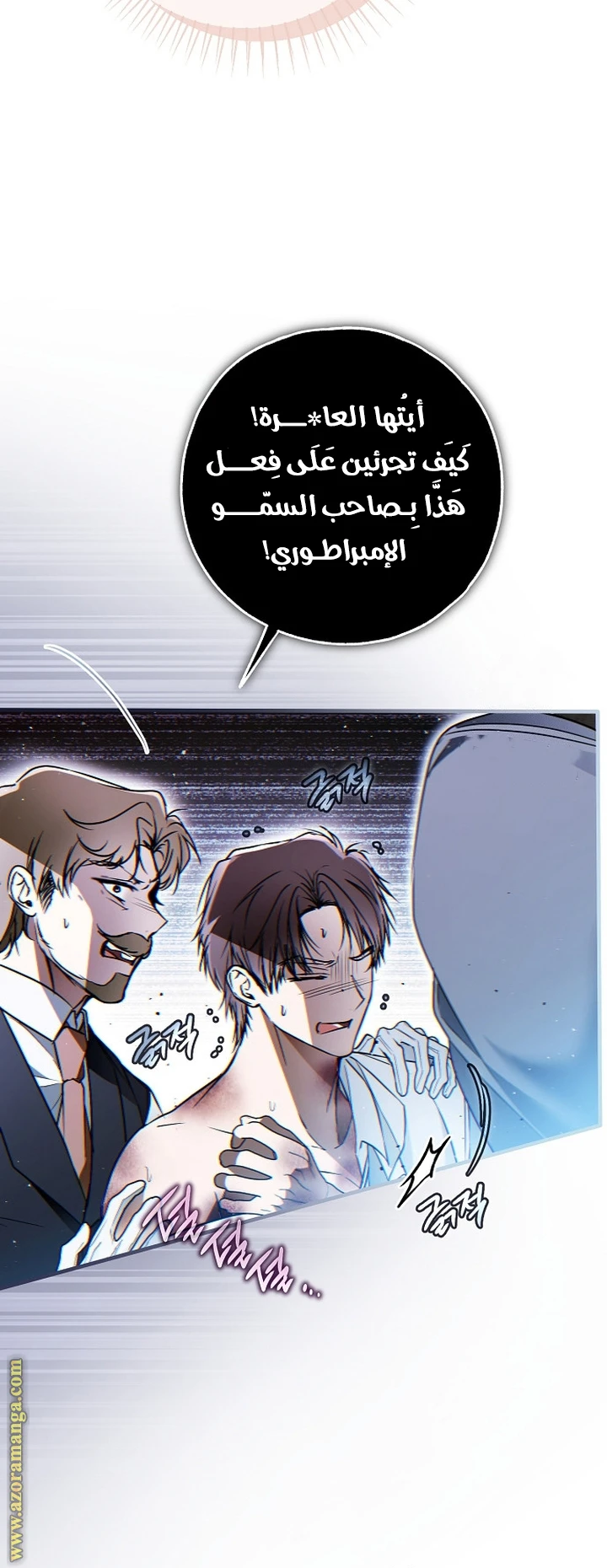 الصفحة 27