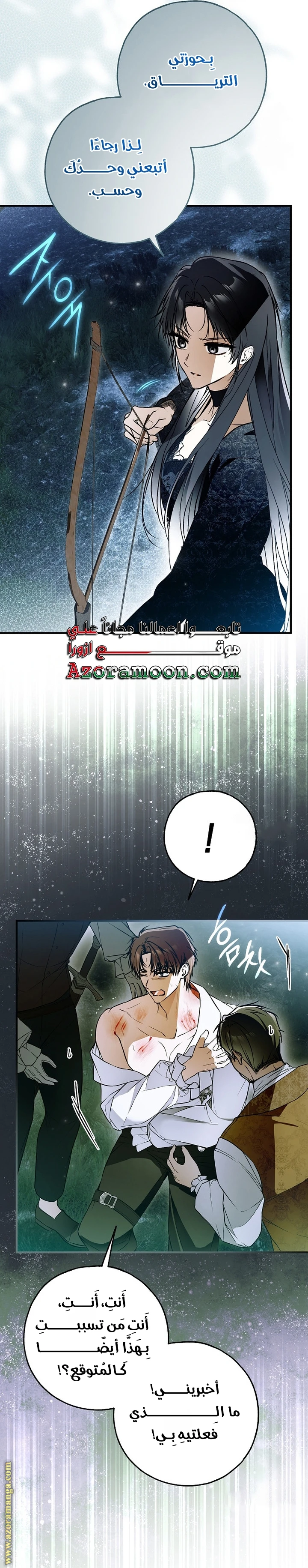 الصفحة 29