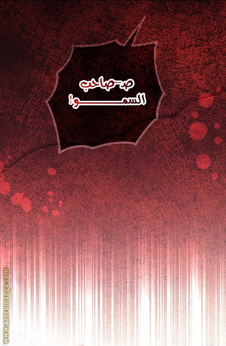 الصفحة 43