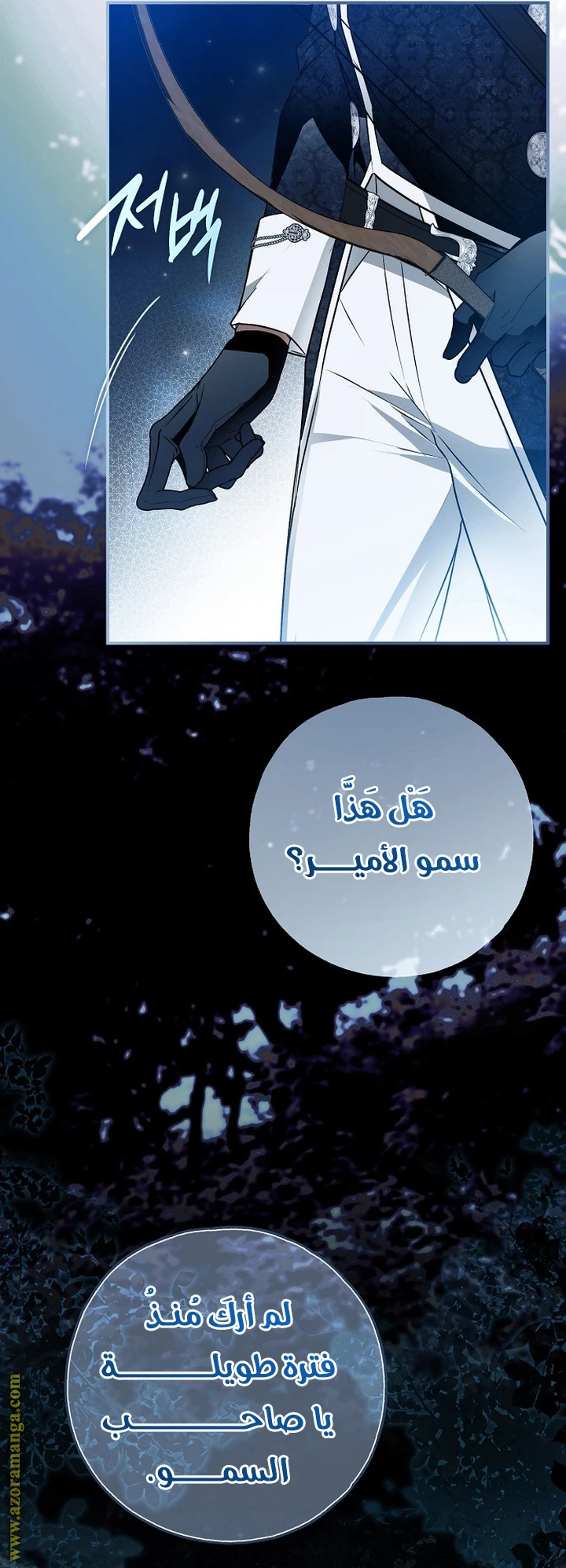 الصفحة 46