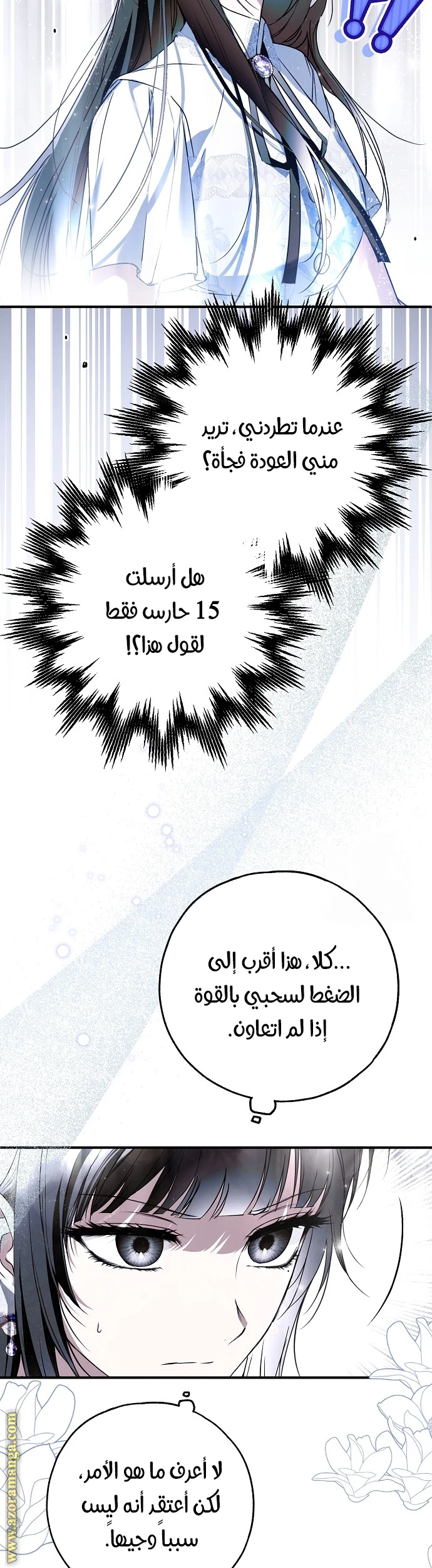 الصفحة 19