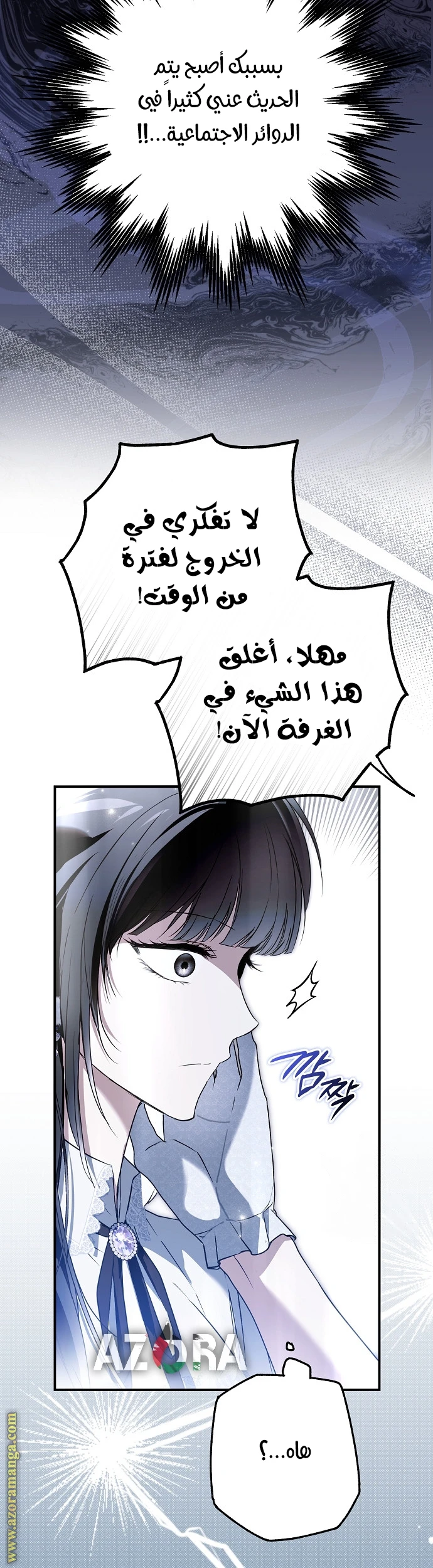 الصفحة 29