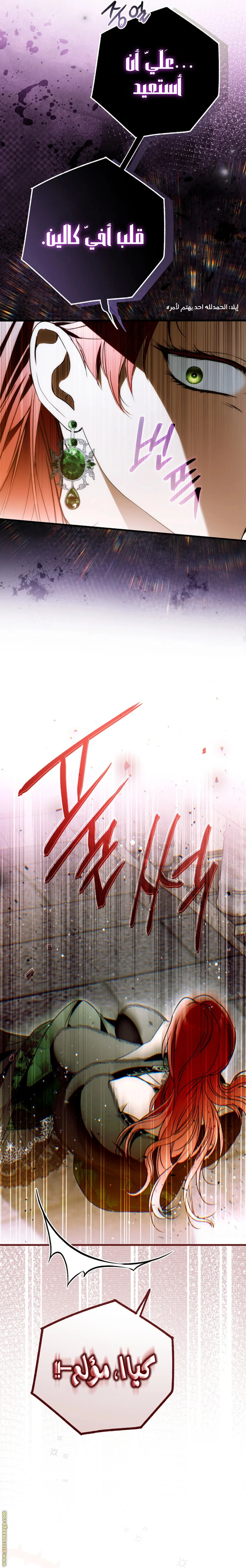 الصفحة 17