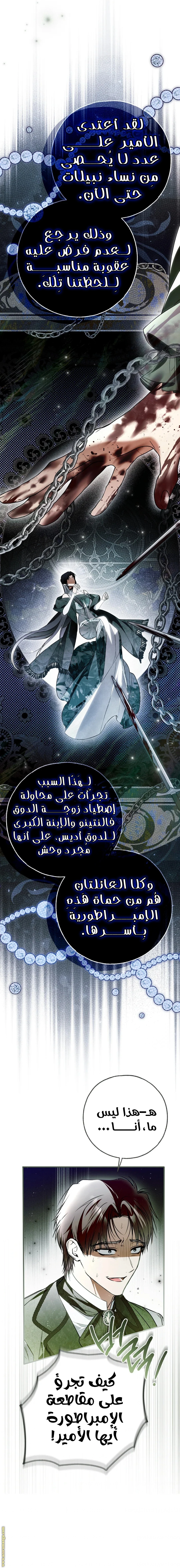الصفحة 17