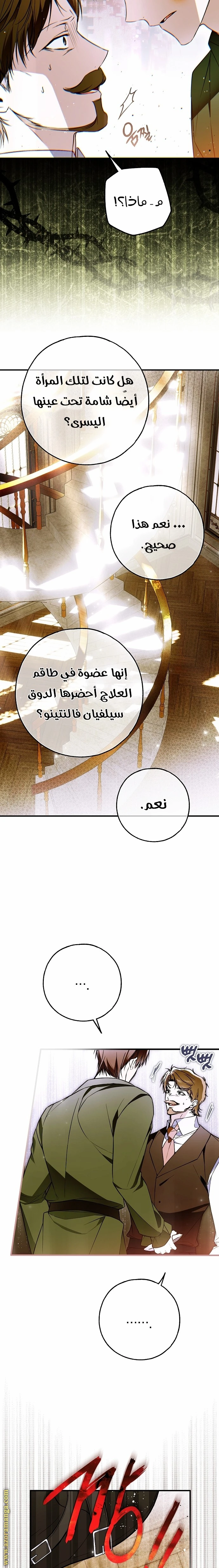 الصفحة 19