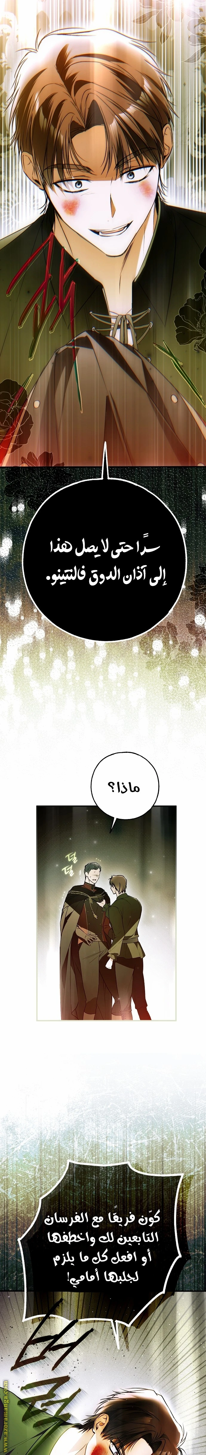الصفحة 25