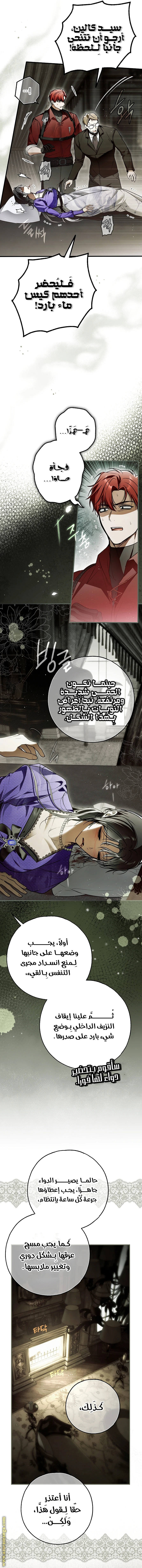 الصفحة 12