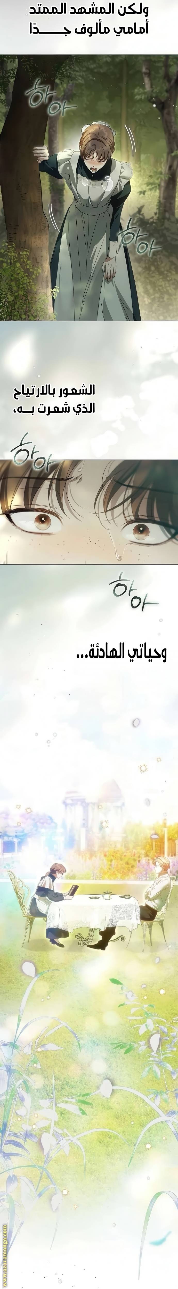 الصفحة 21