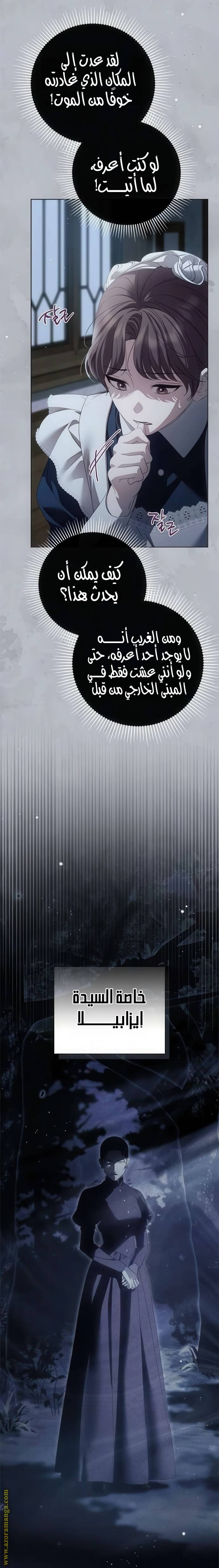 الصفحة 25