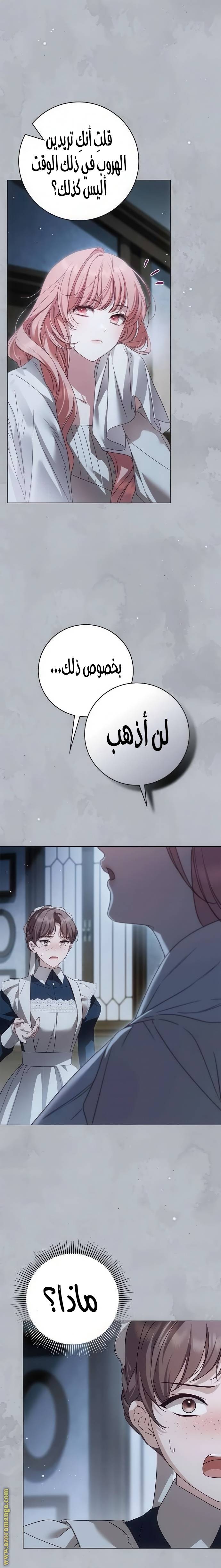 الصفحة 30