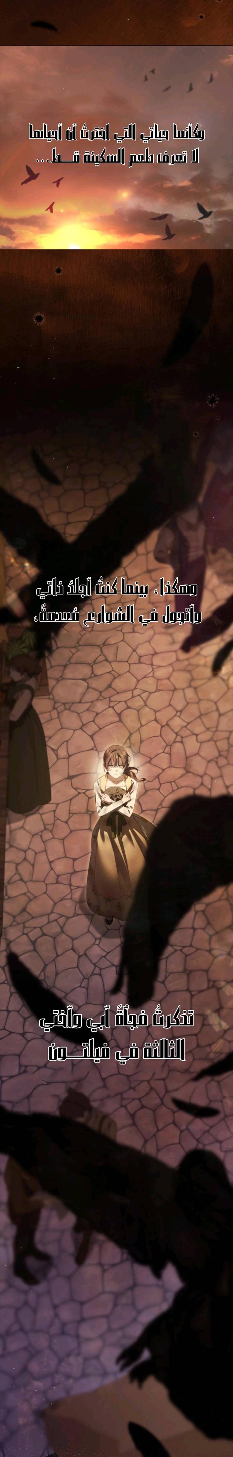 الصفحة 22