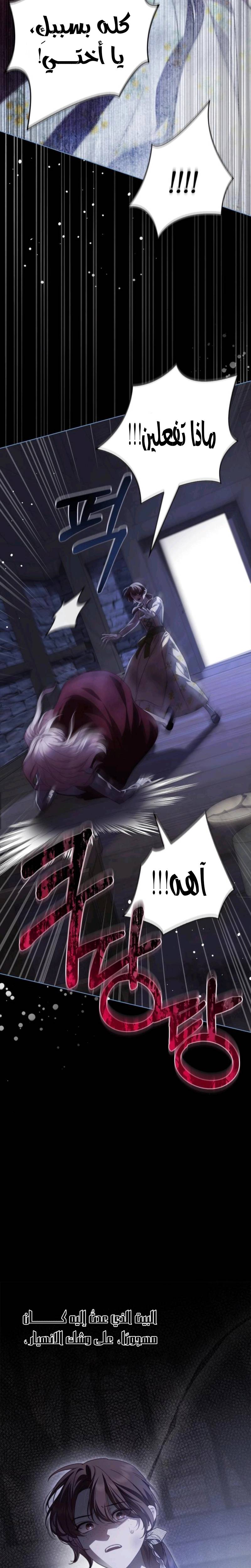 الصفحة 25