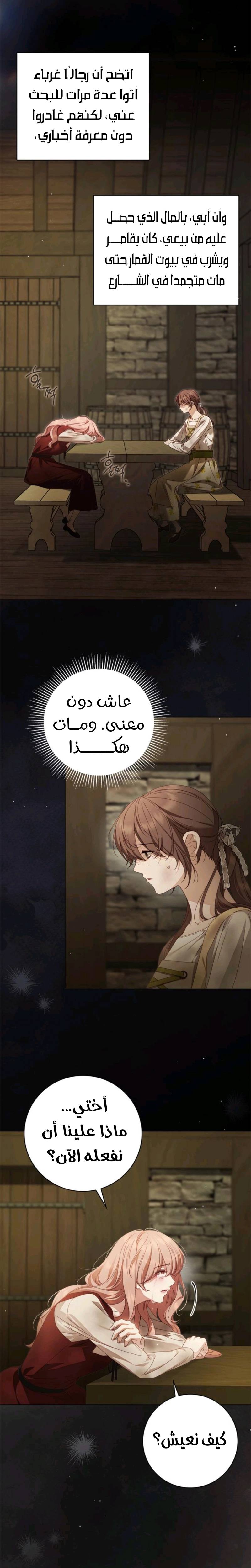 الصفحة 27