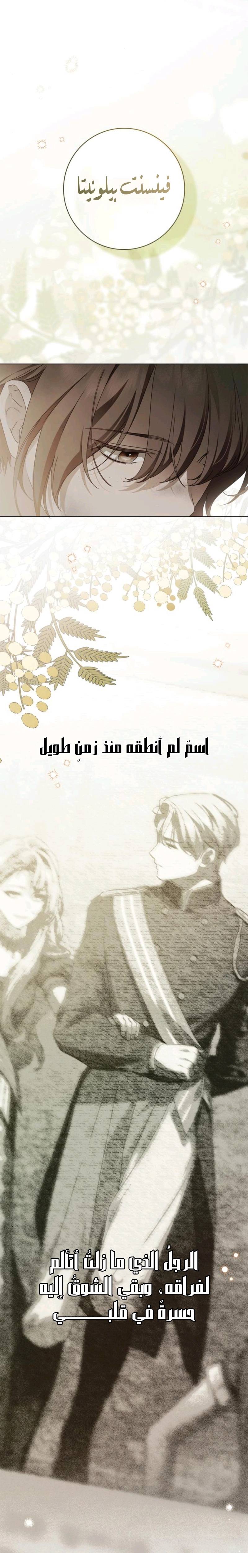 الصفحة 32