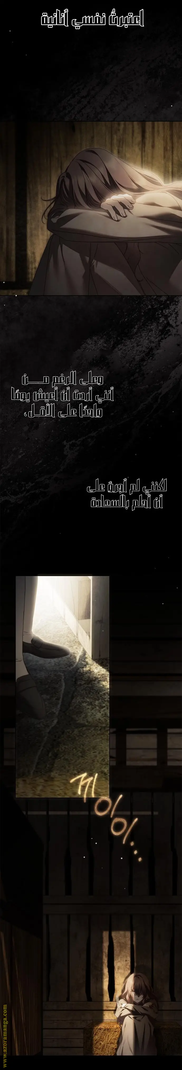 الصفحة 17