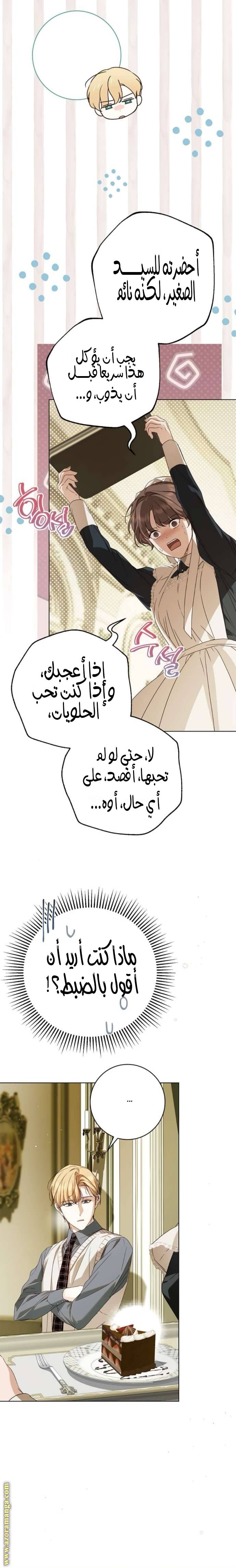 الصفحة 19