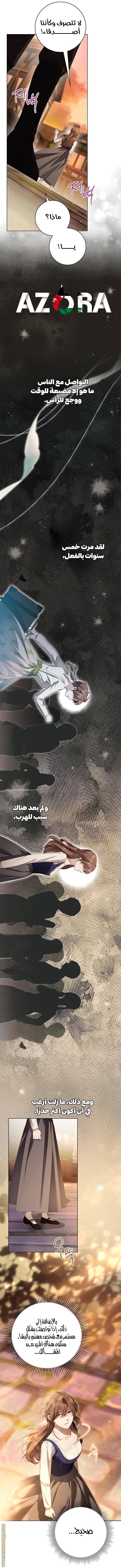 الصفحة 24