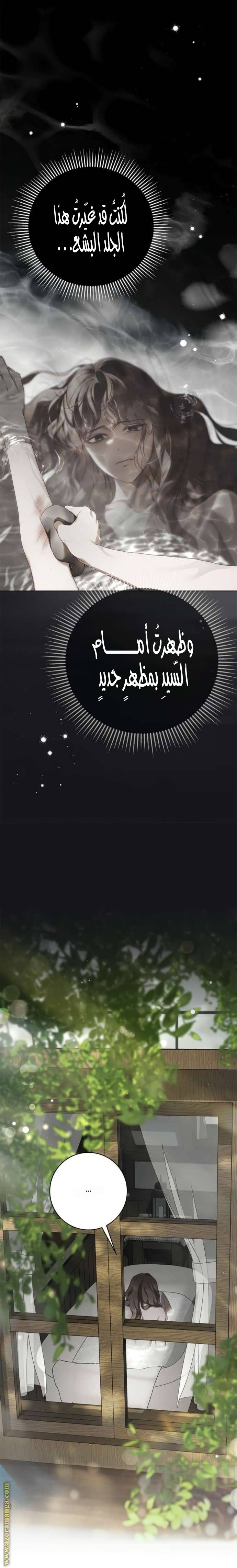الصفحة 13