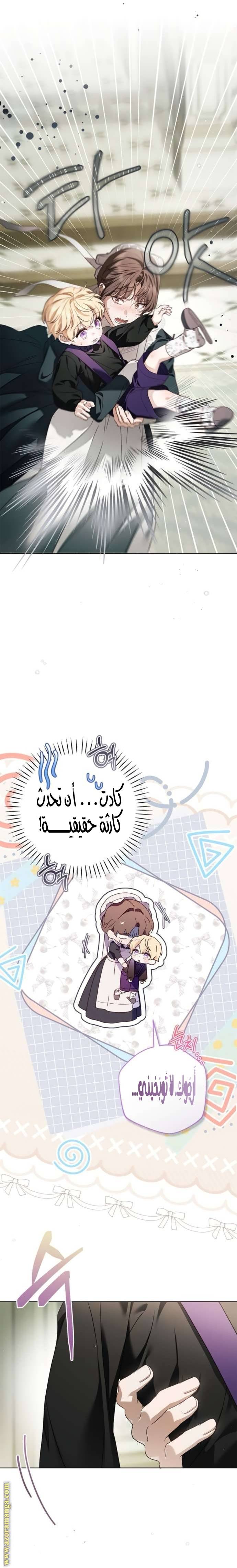 الصفحة 17