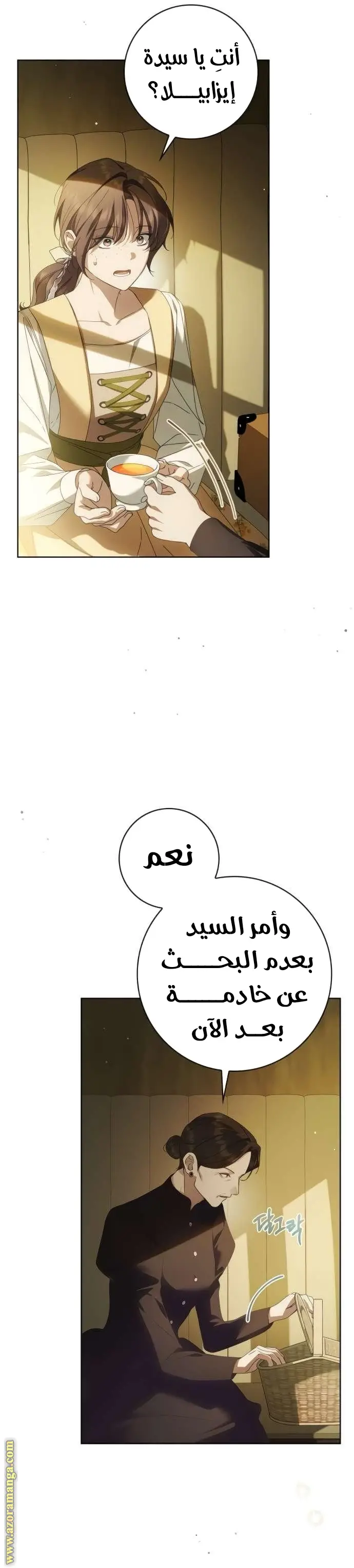 الصفحة 13