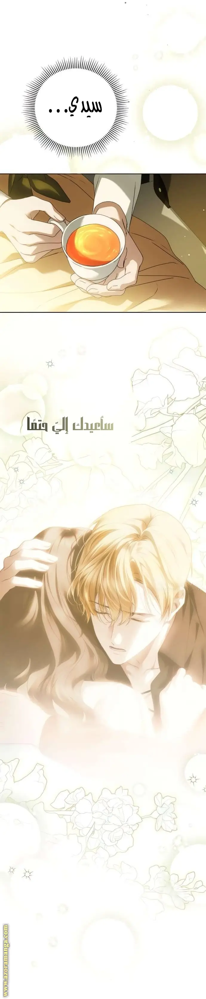 الصفحة 14