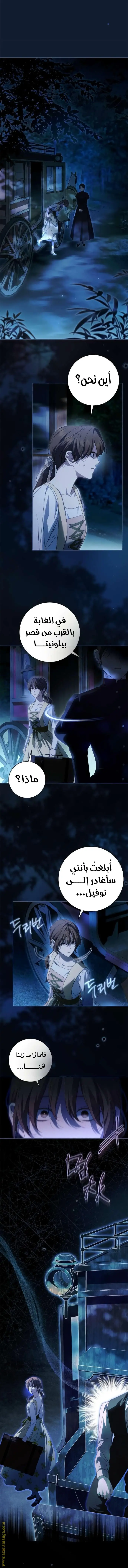 الصفحة 17