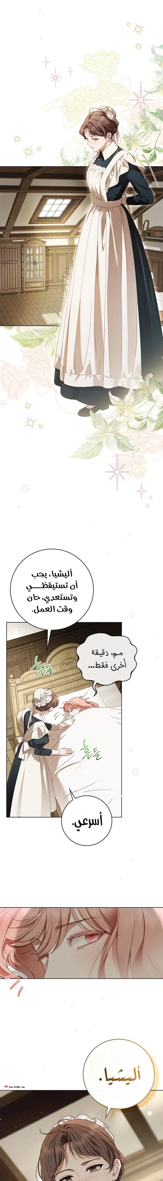 الصفحة 15